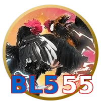 BL555